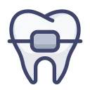 Orthodontic Treatment